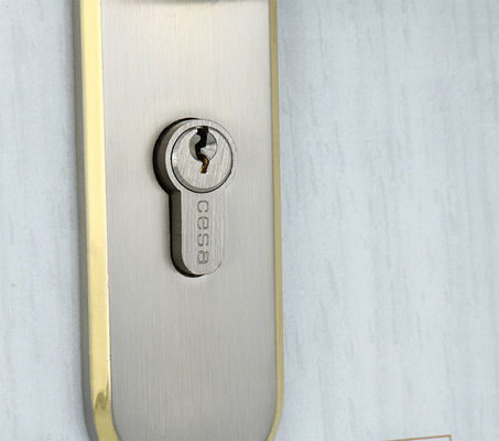 PVD Finishing Door Lock Mortise Lever Handle Solid Zinc 3 کلید های مس می باشد