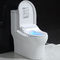 صندلی توالت هوشمند کنترل بازوی جانبی با نوزل فولاد ضد زنگ