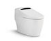 آب ضد عفونی کننده هوای اکریلیک ABS هوشمند آبشوری صندلی توالت